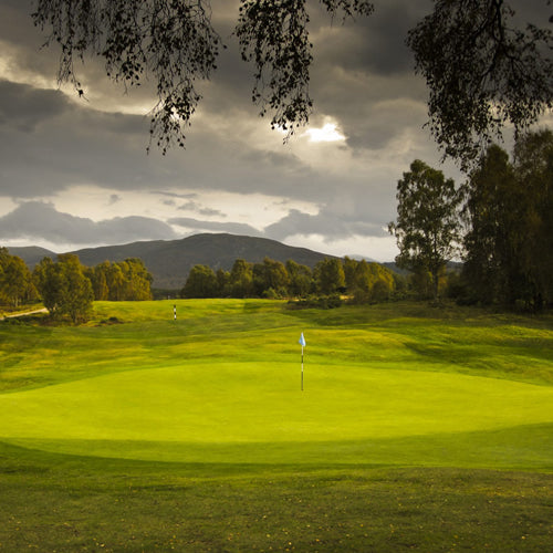 Boat of Garten - Sunday 26th July