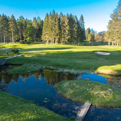 Downfield - Sunday 24th May