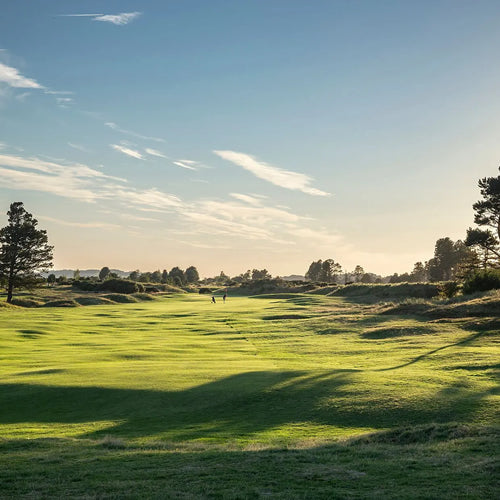Monifieth Links - Sunday 17th May