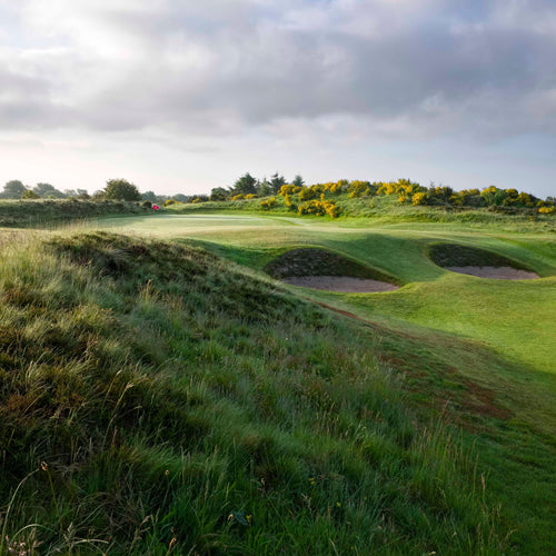Irvine Bogside - Sunday 19th July